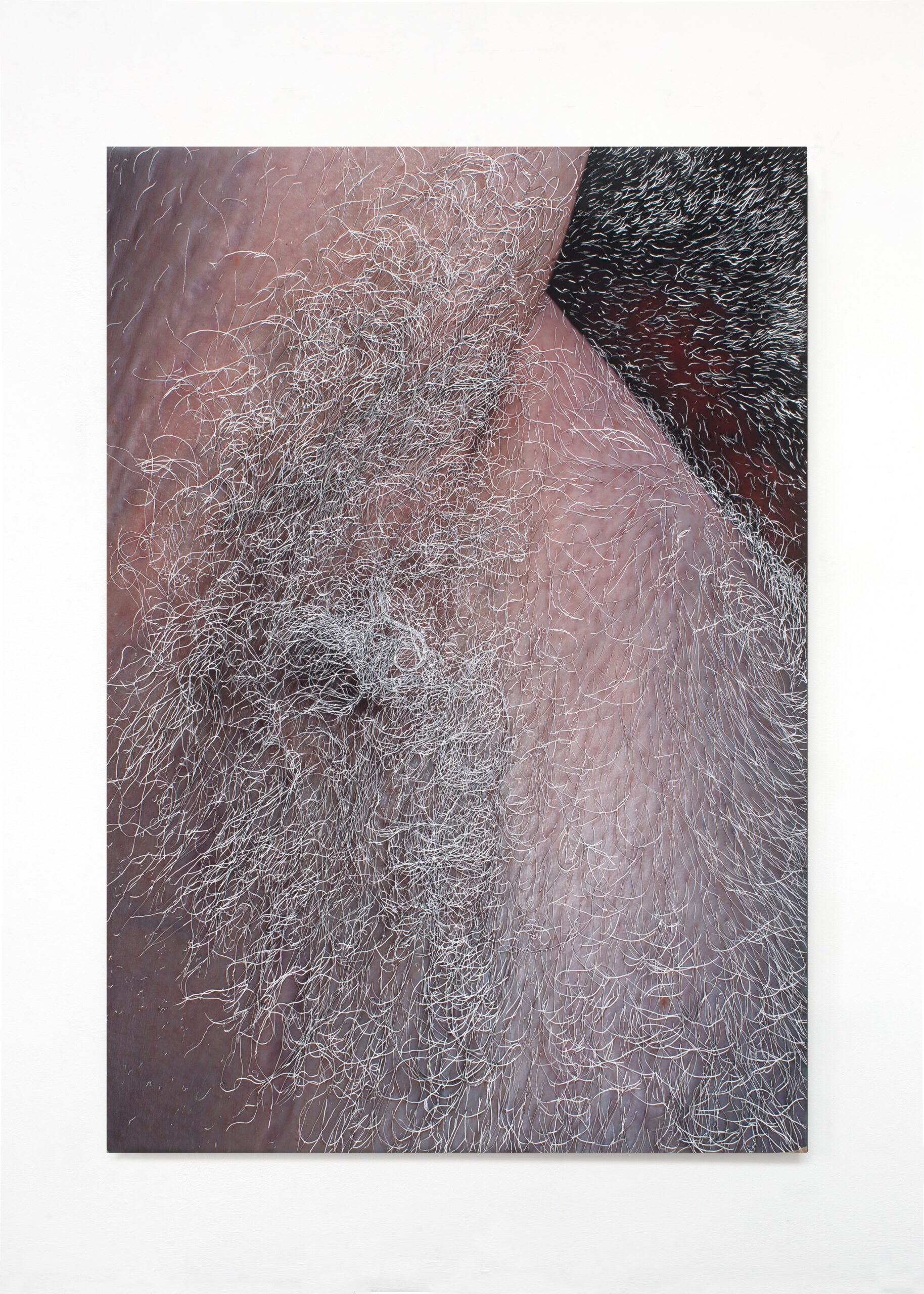 William Mackrell Rise (2022) Etching on c-type print mounted on aluminium 72.5 cm x 50.5 cm