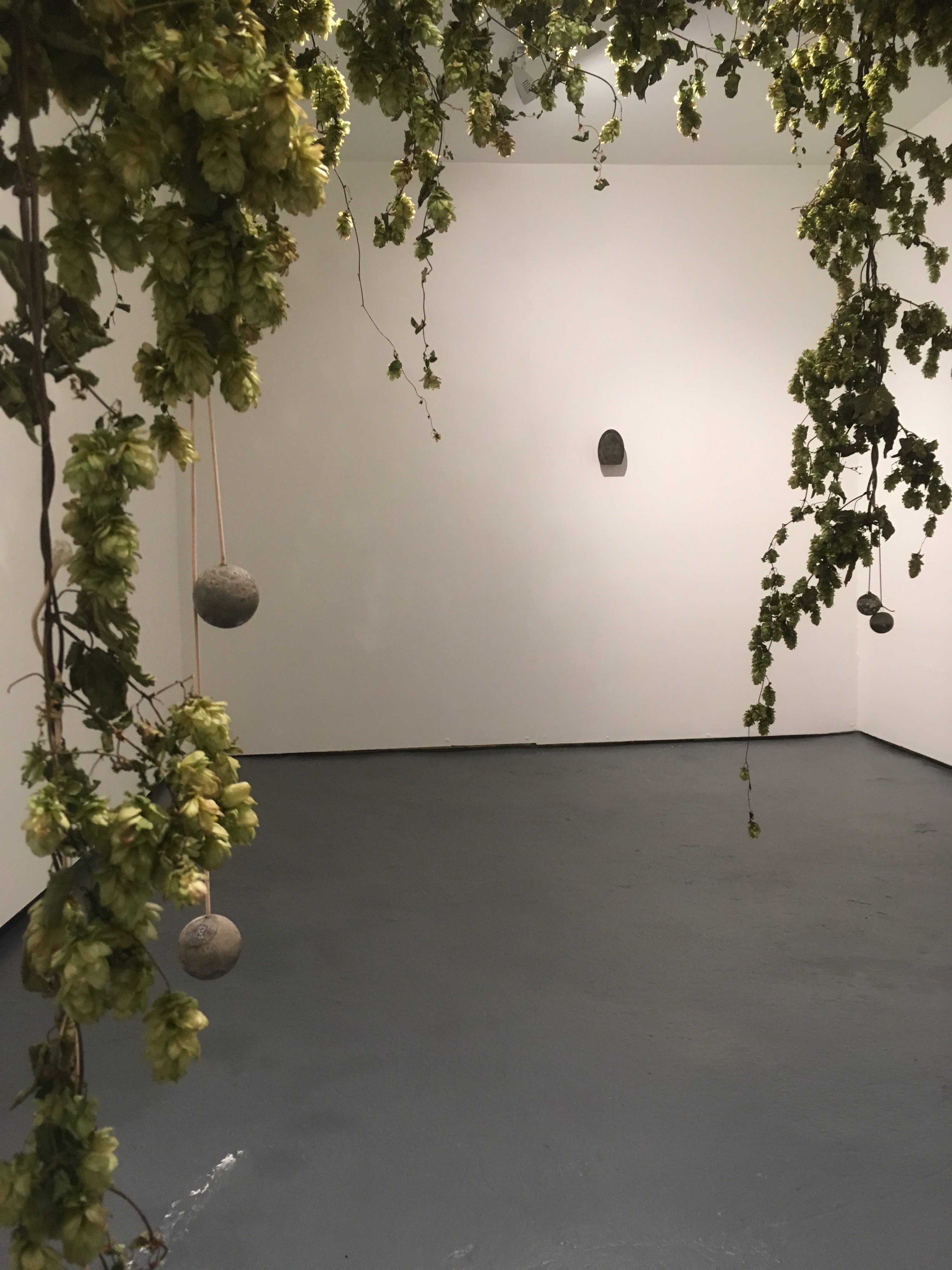 Victoria Adam's first solo exhibition at Lungley Gallery. (2018)