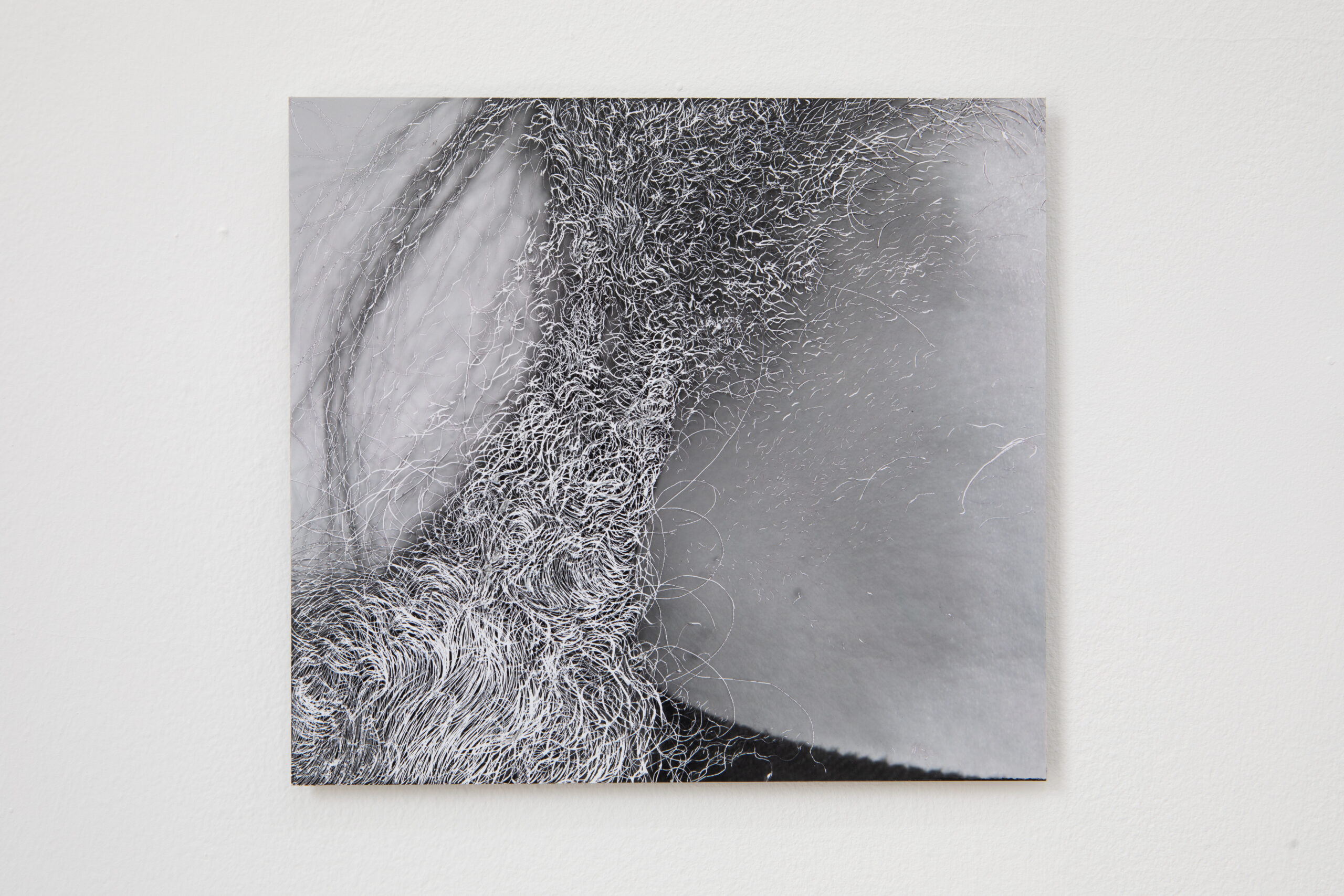 William Mackrell: Strip (2023) Etching on C-type print mounted on aluminium 24.5 cm x 22.5 cm