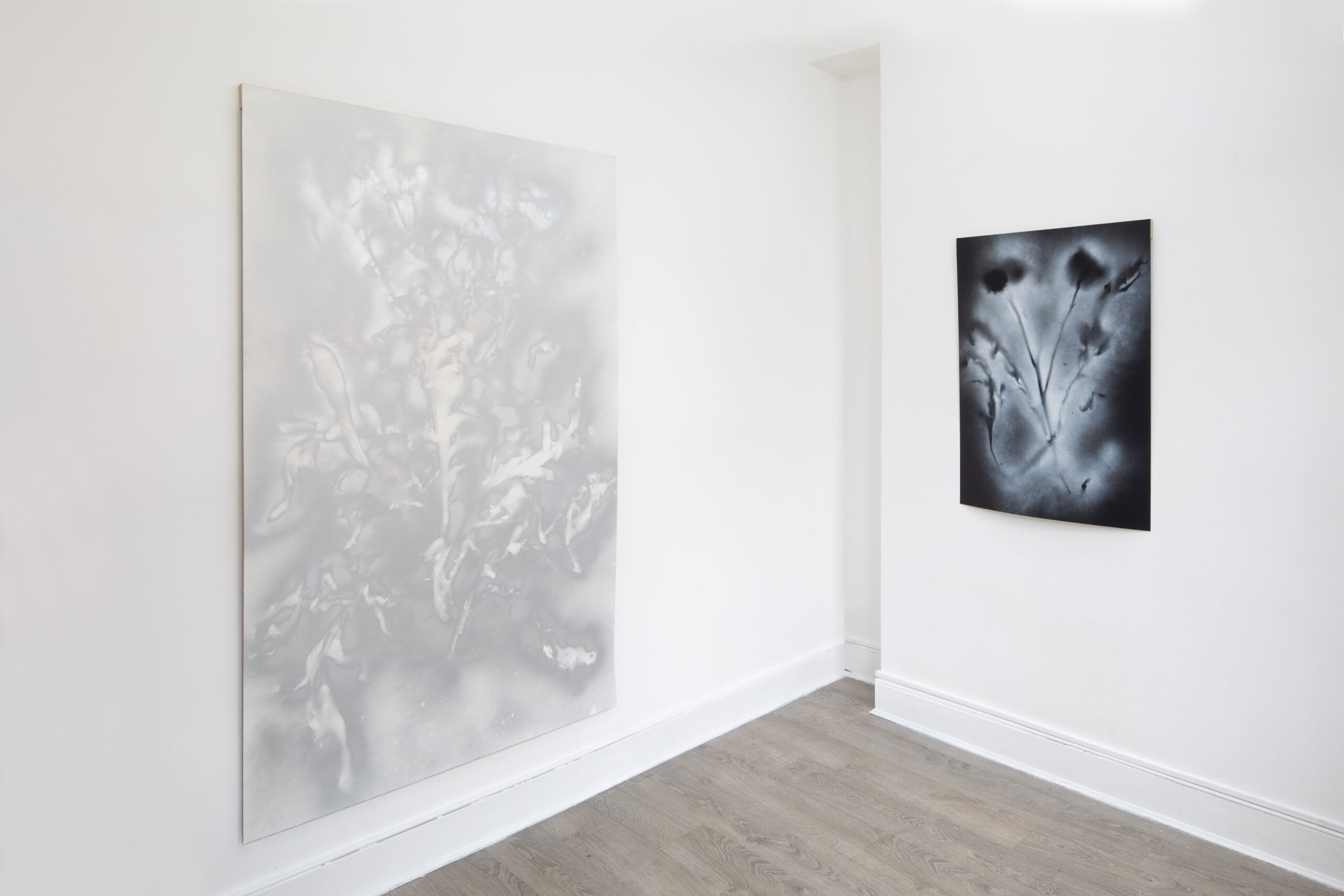 Exhibition view: William Mackrell 'Strip' at Lungley Gallery, London.