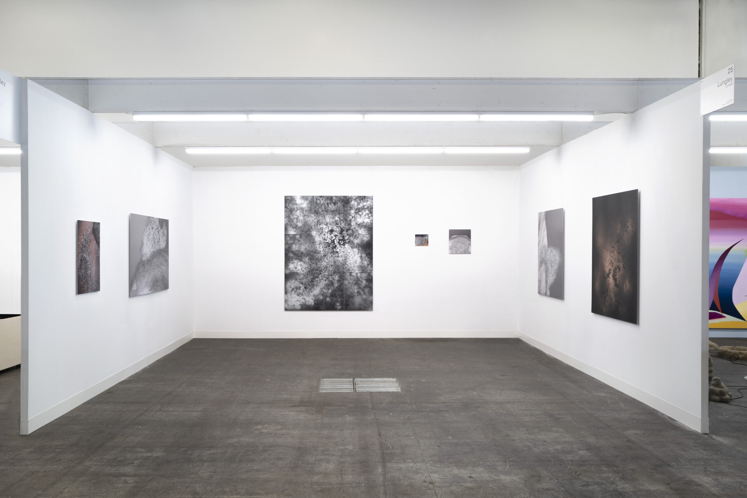 Exhibition view: William Mackrell at LISTE Art Fair, Basel (2022).