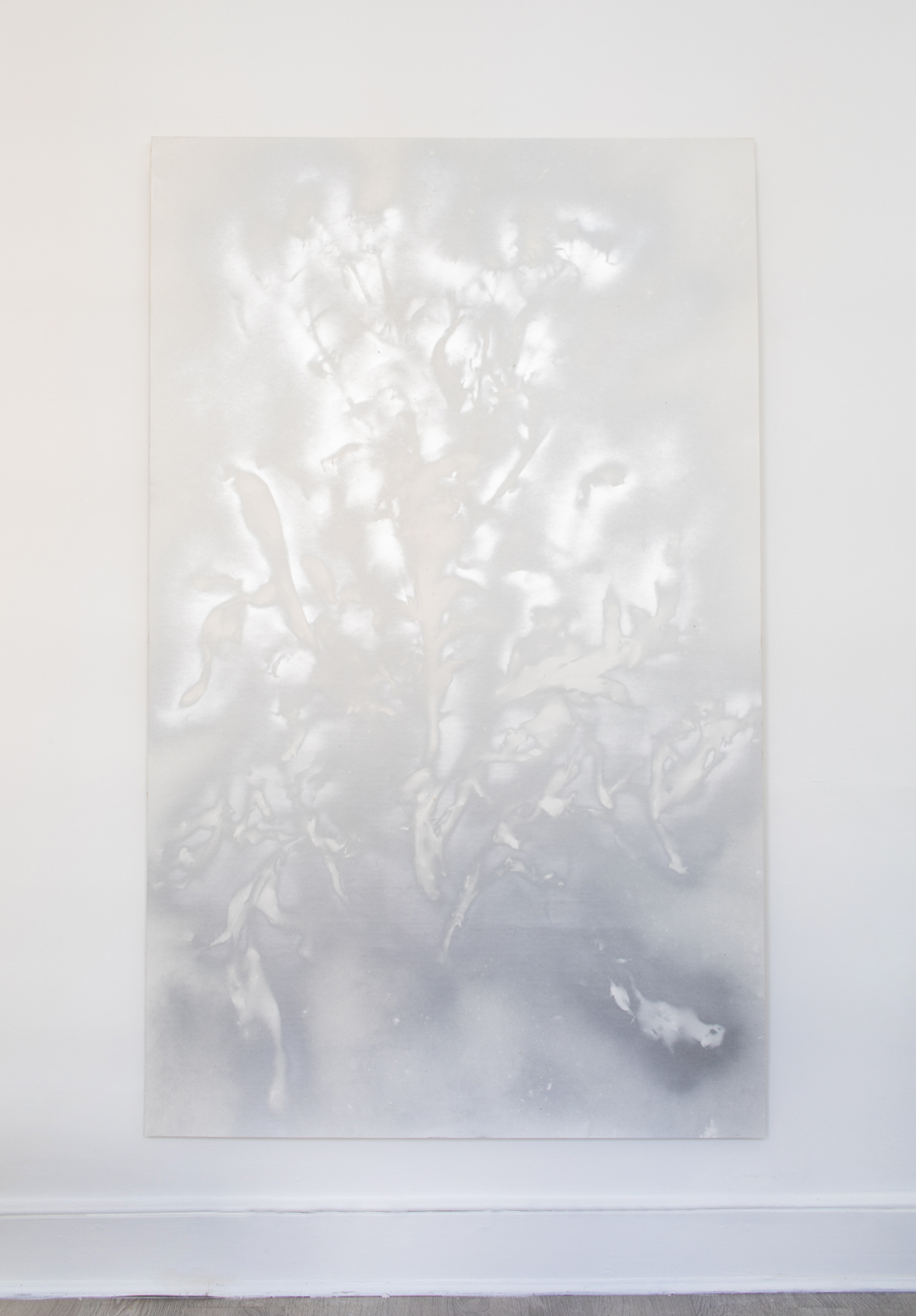 William Mackrell: Cynara Earth to Dust (2023) Pigment on archival paper mounted on linen 194.5 cm x 119.5 cm