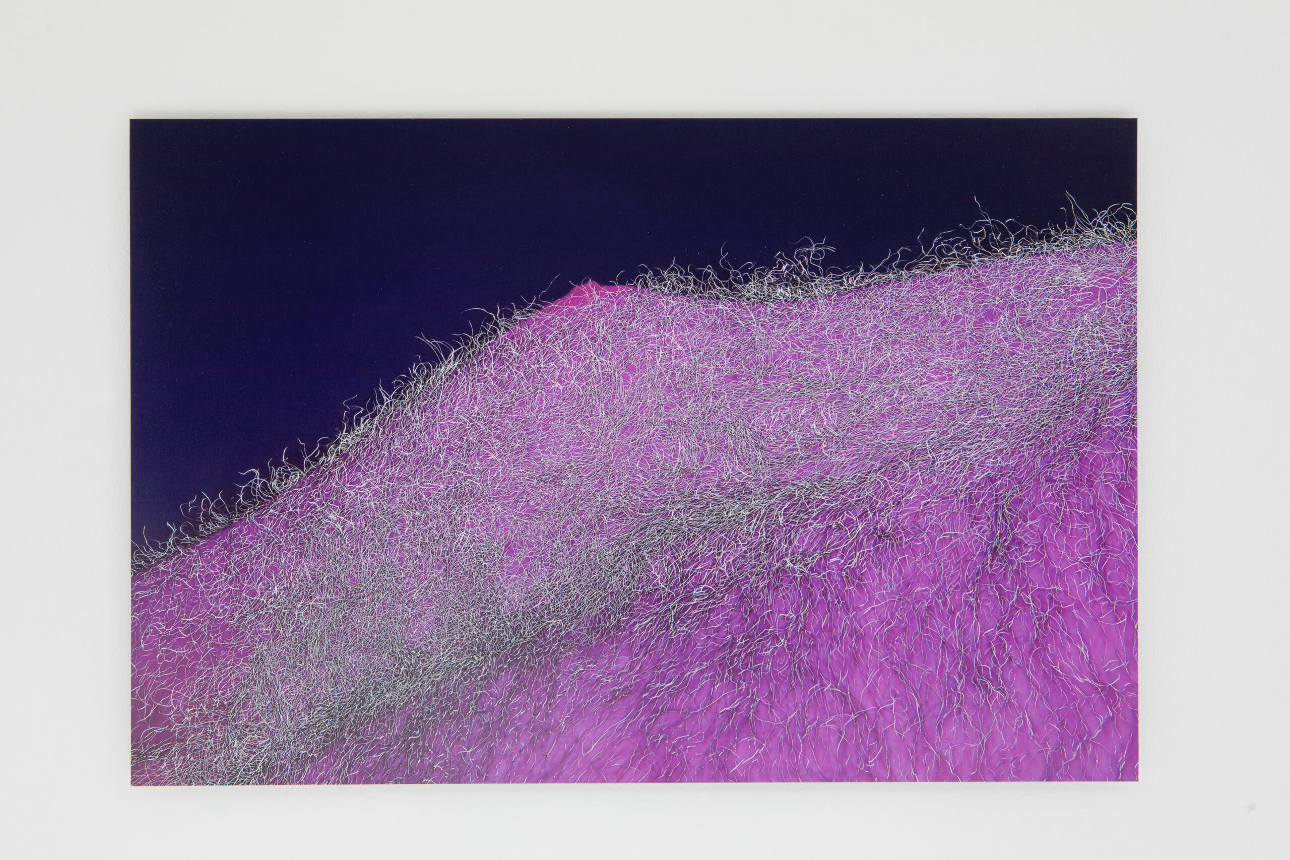 William Mackrell: Ravine UV (2023) Etching on c-type print mounted on aluminium 38.5 cm x 59 cm