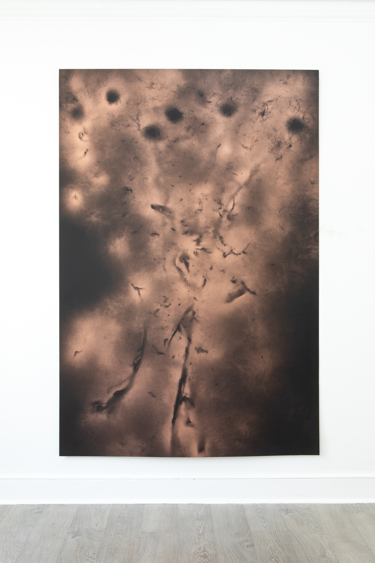 William Mackrell: Violetta burns (2023) Pigment on archival paper mounted on linen 226 cm x 152 cm