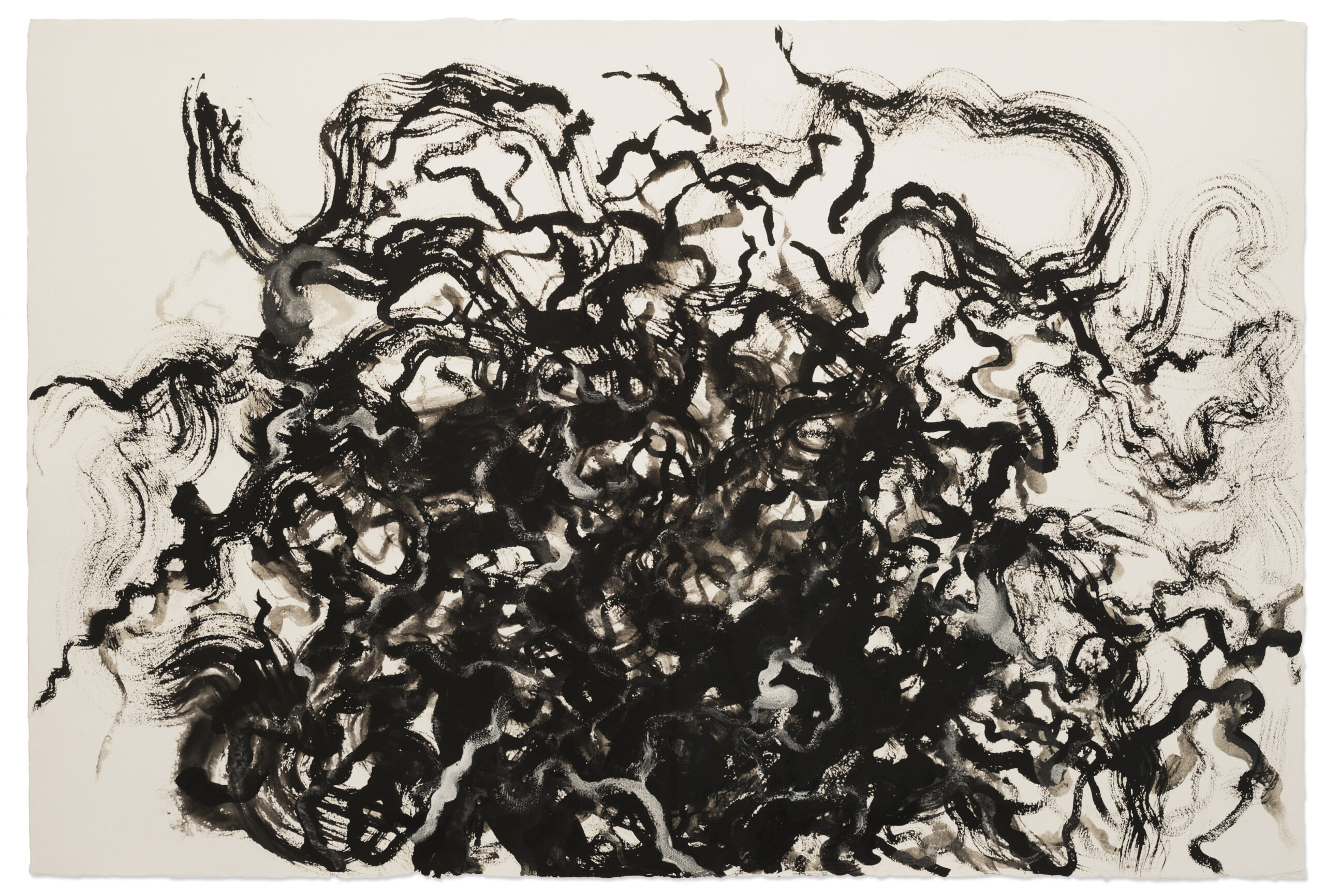 Maya Balcioglu: Medusa 1 (2007-08) Ink on paper, 125 x 155 cm.